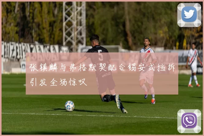 张镇麟与弗格默契配合锡安式挡拆引发全场惊叹